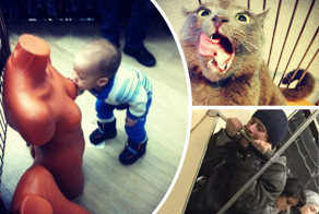 Ты - не ты, когда голоден!