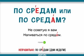 Быть умным - это модно: Стихотворные шпаргалки, позволяющие легко и быстро говорить правильно
