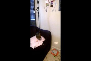 Утки тоже любят играть в волейбол