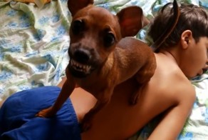 Щенок не позволяет мужчине разбудить сына