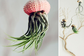 23 самых оригинальных дизайна цветочных горшков