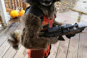 Самодельный детский костюм Реактивного Енота стал лучшим на этот Хэллоуин 