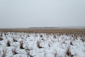 Видишь овец? И я не вижу. А они есть! 