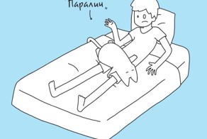 10 кошачьих поз сна, которыми коты терроризируют своих владельцев