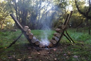 Фотоподборка за 11.11.2015