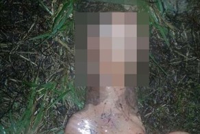 Американка во дворе своего дома нашла труп пришельца