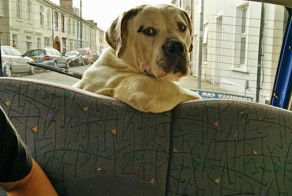 Фотоподборка за 16.11.2015