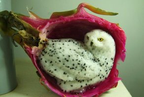 15 потрясающих скульптур из необычных материалов