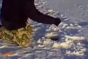 Суровый ловитель щук