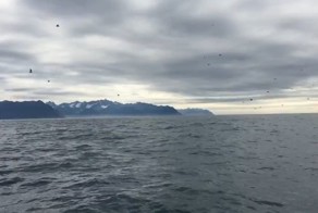 Никогда не знаешь, где тебе повезет. Когда вы увидите, кого встретил этот парень, то будете в восторге!