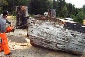 На что способен человек с бензопилой