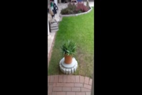 Подземный холодильник для пива в саду? Почему бы и нет!