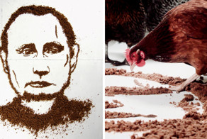 Литовская художница скормила портрет Путина курицам