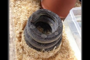 Подборка демотиваторов, которые поднимут вам настроение!