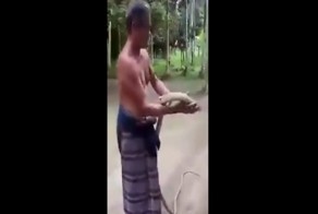 Опытный змеелов демонстрирует, как брать кобру на руки