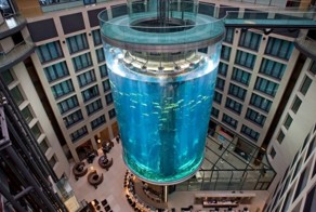 11 самых невероятных аквариумов со всего мира
