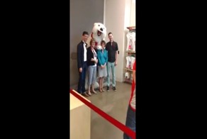 Когда действительно любишь свою работу