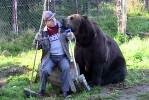 Настоящая идилия человека и медведей