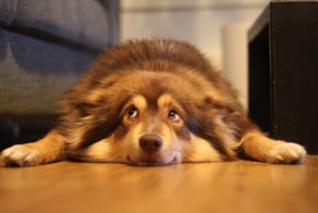 Фотоподборка за 24.11.2015