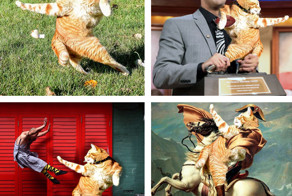 Поза кота идеально подошла для фотошопа с другими фотографиями