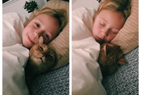 Фотоподборка за 27.11.2015