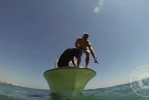 Собака-ныряльщик ловит лобстеров