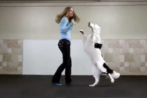 Танцевальный номер с собакой