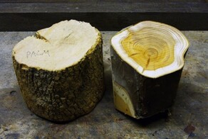 Как сделать объектив из дерева своими руками