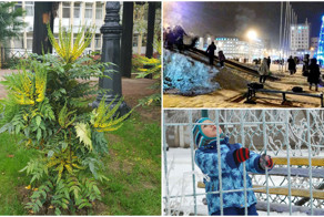 Зима пришла! Как выглядит первый день зимы в разных городах России