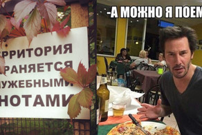 "Будешь гадить - пристрелю" или когда точка кипения пройдена