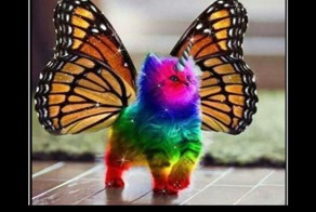 Подборка демотиваторов, которые поднимут вам настроение!