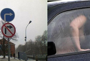 Чего только не встретишь на дорогах