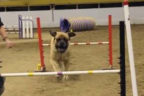 Настоящий чемпион! И не важно, что в личном зачёте!