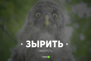 13 энергичных просторечий, понятных только россиянам