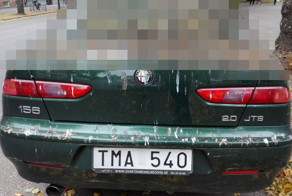 Шведские пернатые не любят итальянский автопром