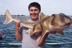 Фотоподборка за 18.12.2015