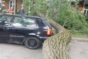 Ангел-хранитель есть у каждого