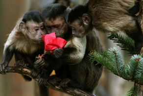 Фотоподборка за 23.12.2015