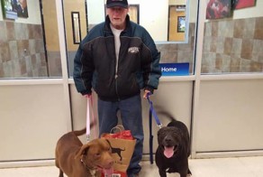 Ветеран хотел выкупить своих собак из приюта. Ответ сотрудницы растопит сердце любого!