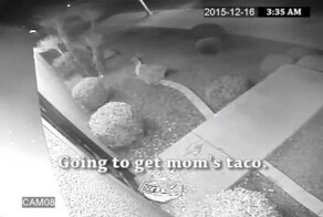 Ограбление тако магазина, после этого магазин выпустил такую рекламу