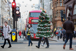 Фотоподборка за 24.12.2015