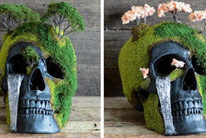 Бонсай, воскрешающий мертвых