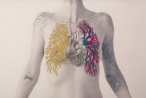 Биологическая : чилийская художница размещает на черно-белых снимках человека органы и вены