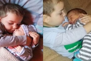 Братская любовь пуще каменных стен