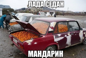 Очередная подборка автоприколов