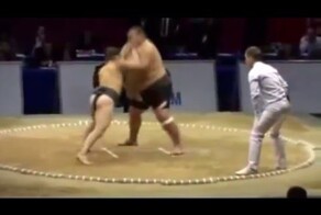 Борьба Сумо, прикольные моменты