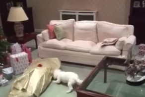 Лучший мой подарочек — это ты