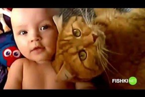 Котики - лучшие няньки. Доказано детьми!