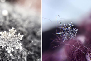 Снежное волшебство: потрясающие фотографии снежинок, сделанные на телефон