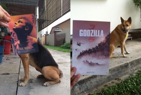 Веселый способ превращения кинопостеров в часть реальности